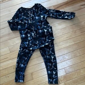 Terramar fleece top and pant